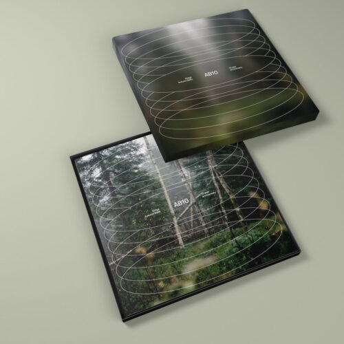 Gidge - AB10 (Vinyl box set) - Image 6